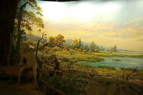 ԭʼ��������