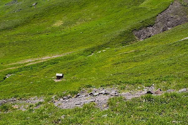 �ݵ��ϵ�ľ��