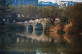 ����������