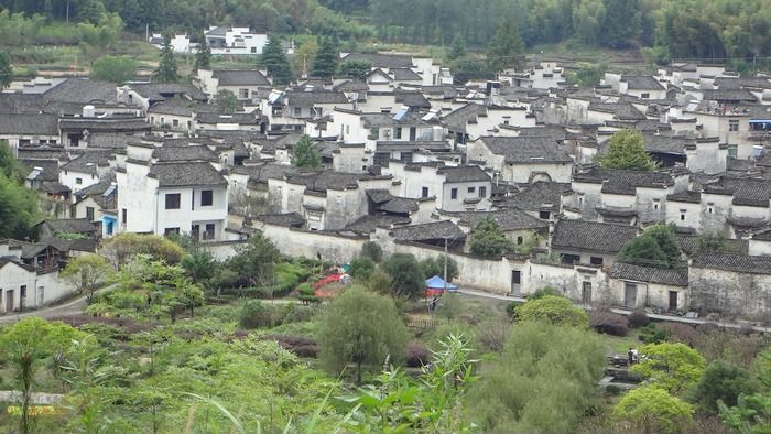 ���ݹŽ���Ⱥ