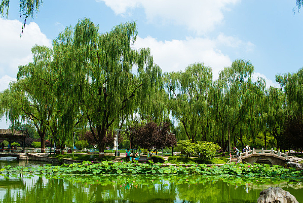 ������̶����԰