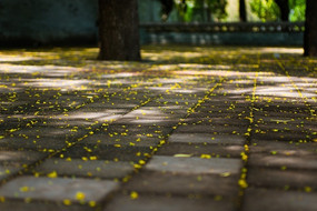 ʯ��·����