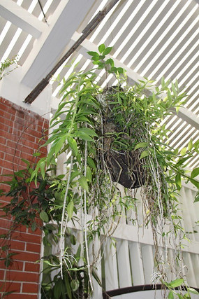 ���ϵ���