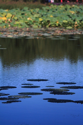 �����ϵ�����