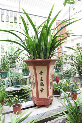 Ư������������