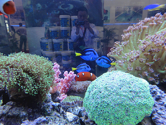 �ȴ�����쾰