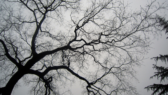 �Ͼ���������