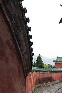 �����ߵ�