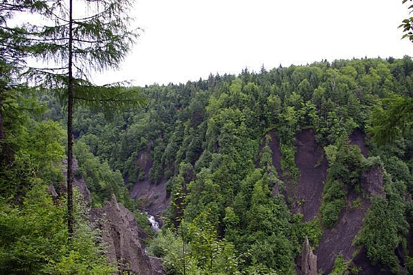 ɽ��ɭ�־���