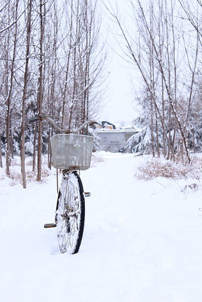 ѩ����Ұ��ׯ