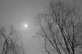 ��ҹ������