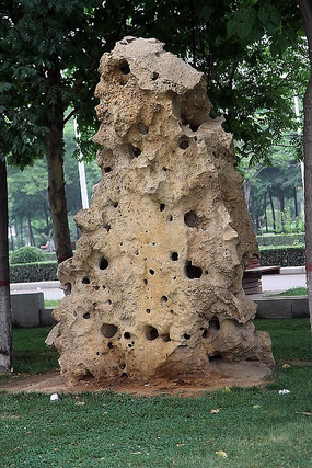 公园里草地上的一座假山