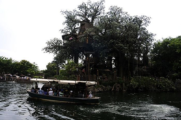 ����С��