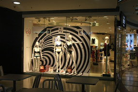 ����ģ��չʾ