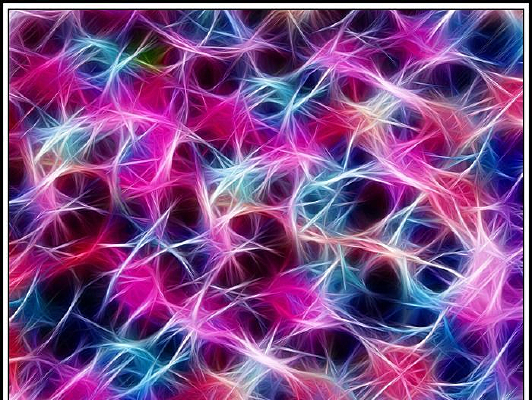 ��֯�߱���