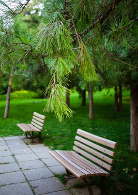 �ݵ�   ����