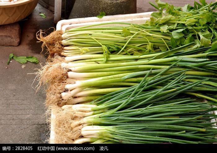 一堆新鲜的葱和香菜