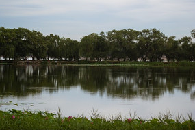 ��������Ӱ