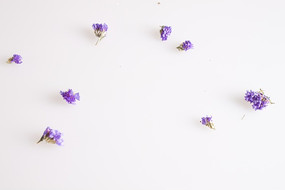 ��ɫ�����һ�