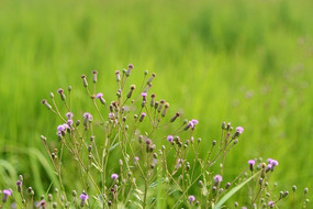 ·�ߵ��ѹ�Ӣ