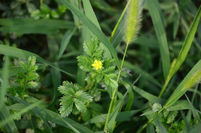 С�ƻ�����