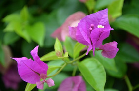 ����÷�Ž���