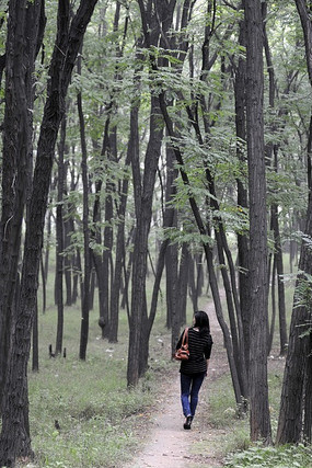 �ľ�С����