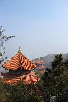 �������޵�