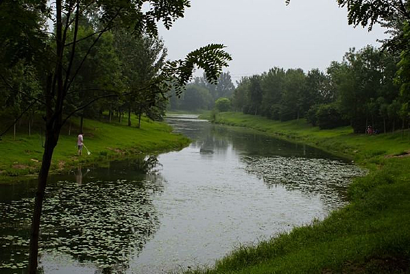 ��������ƥ��ɭ�ֹ�԰