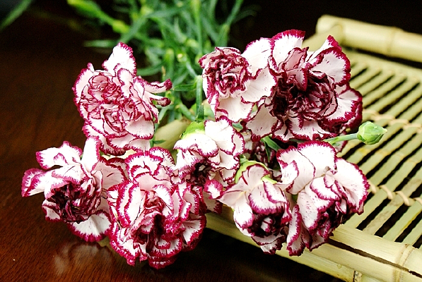 ���ܰ�ɫ����ܰ