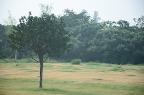 �ݵ���һ����