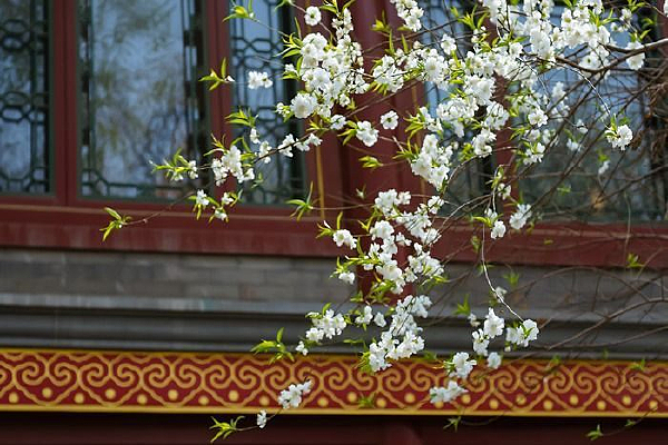 �滨ǧ�������滨��