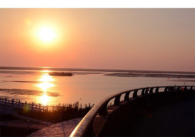 Ϧ�����ʺ�