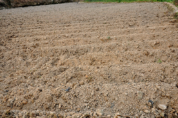 ���õ���