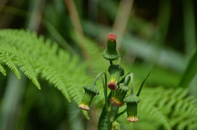 ��Ȥ�Ļ���