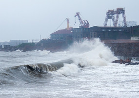 �����İ�