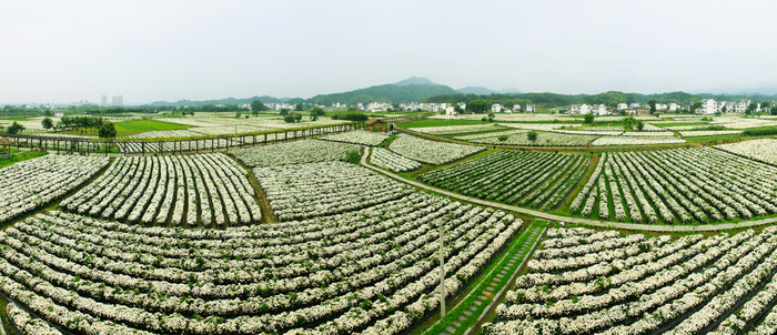 ��ɽ����ԭ����