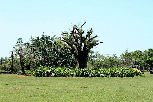 һ������