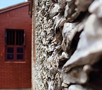 ���Ķ���