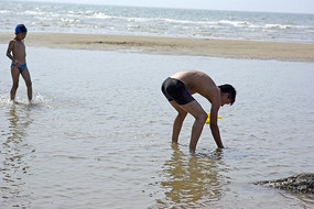 ����ץ��