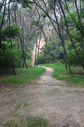 ��������·