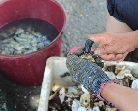 ���͵���