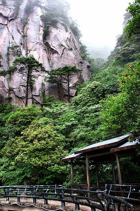 ����ɽ��