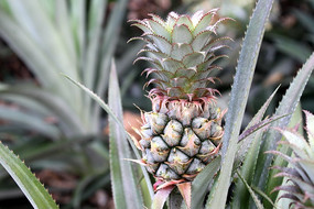 ����������