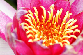 ˯������