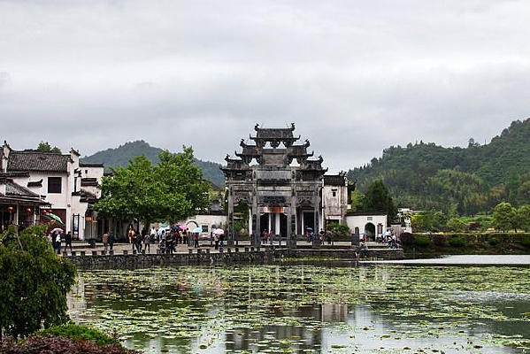 ������ʤ�ż�