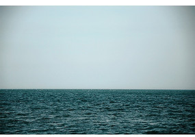 ��ɫ�ĺ���