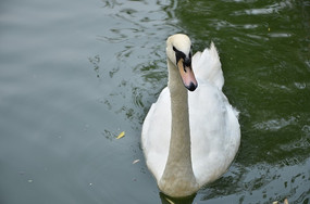 ���������д