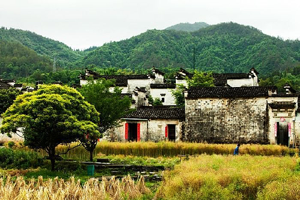 Զ������