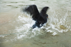 �����С��